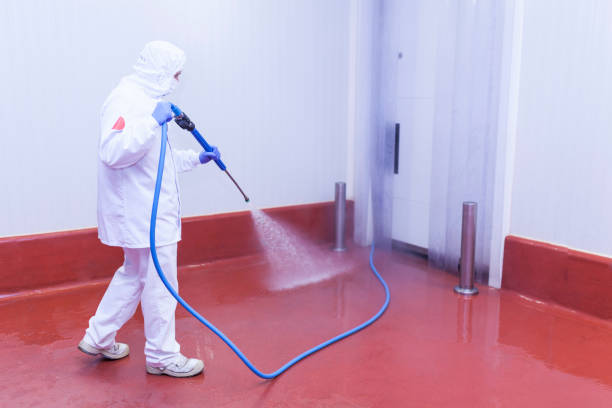 Boat and Dock Cleaning in Fish Hawk, FL