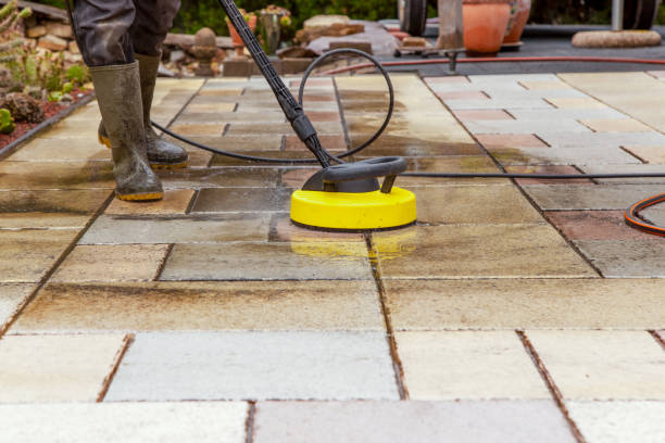 Best Driveway Pressure Washing  in Fish Hawk, FL