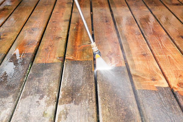 Best Rust Removal  in Fish Hawk, FL
